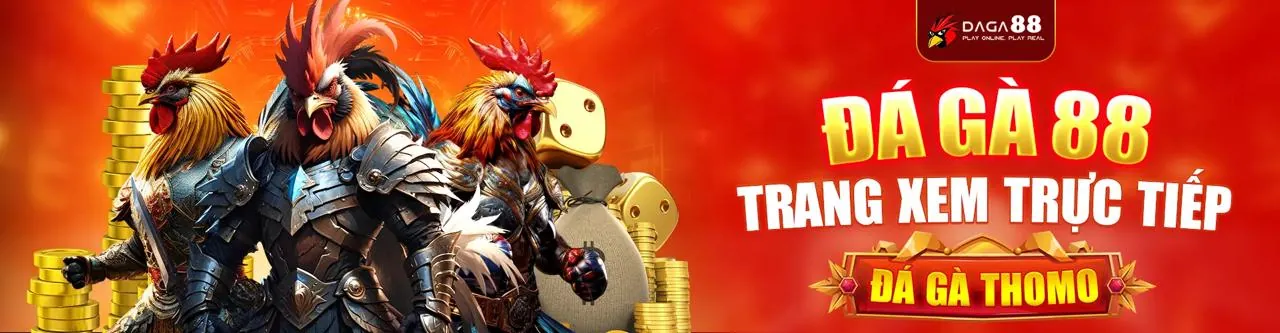 Đá gà PK8 - Sân chơi trực tuyến uy tín