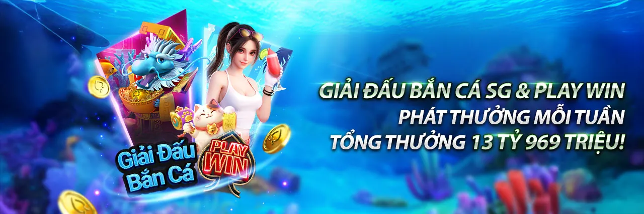 Hình ảnh chính blog pk8 2026