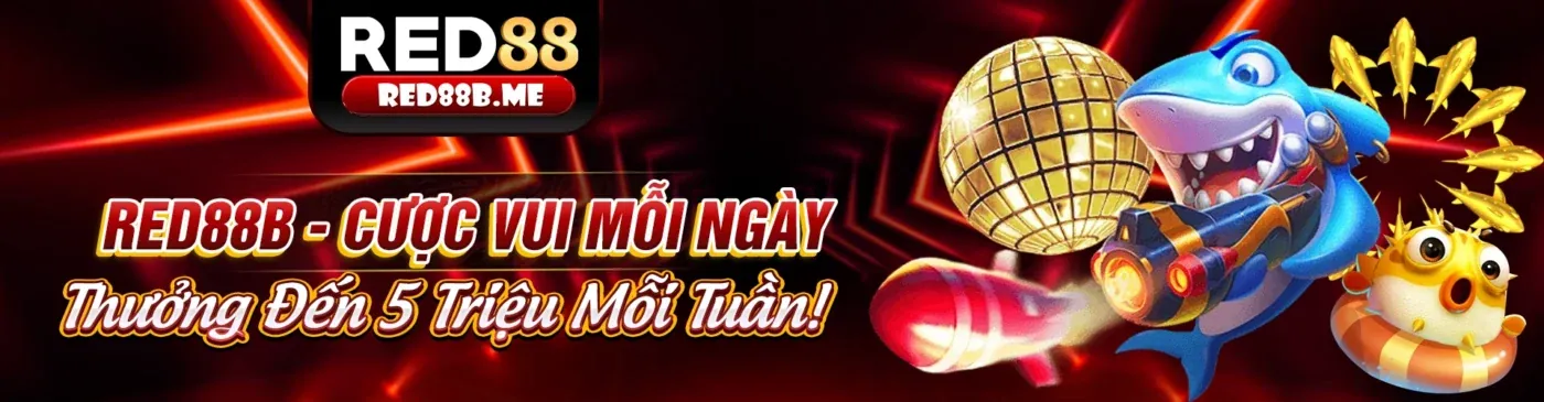Chính sách bảo mật PK8